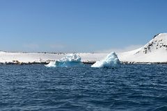 08C Penguin Colonies On Aitcho Barrientos Island In South Shetland Islands From Zodiac Of Quark Expeditions Antarctica Cruise Ship.jpg